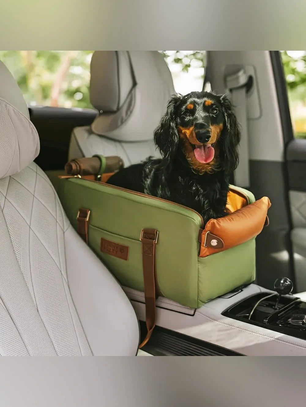 Luxury Pet Carrier and Seat - Green by Funny Fuzzy